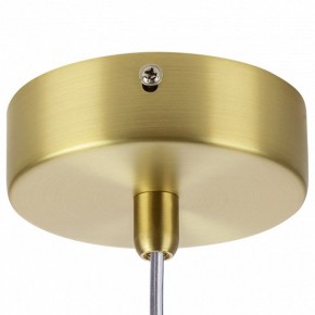 Подвесной светильник Lightstar Colore 805306 в Коротчаево - korotchaevo.mebel24.online | фото 7