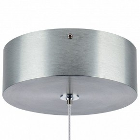 Подвесной светильник Lightstar Colore 805401 в Коротчаево - korotchaevo.mebel24.online | фото 7