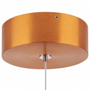 Подвесной светильник Lightstar Colore 805402 в Коротчаево - korotchaevo.mebel24.online | фото 6
