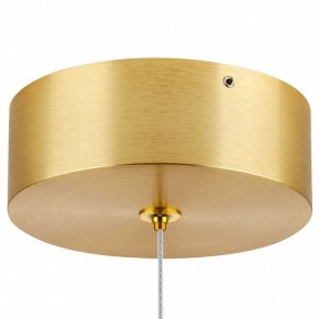 Подвесной светильник Lightstar Colore 805403 в Коротчаево - korotchaevo.mebel24.online | фото 7