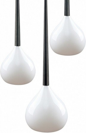 Подвесной светильник Lightstar Forma 808230 в Коротчаево - korotchaevo.mebel24.online | фото 3