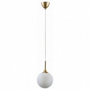 Подвесной светильник Lightstar Globo 813022 в Коротчаево - korotchaevo.mebel24.online | фото 2