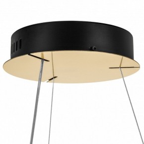 Подвесной светильник Lightstar Helio 703143 в Коротчаево - korotchaevo.mebel24.online | фото 8
