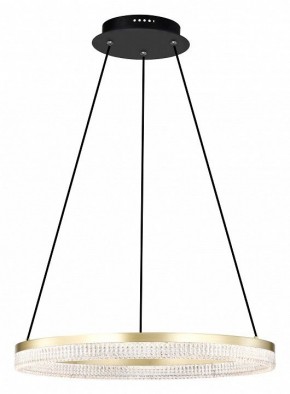 Подвесной светильник Lightstar Rotonda 736161 в Коротчаево - korotchaevo.mebel24.online | фото 2