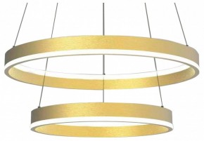 Подвесной светильник Lightstar Rotonda 736422 в Коротчаево - korotchaevo.mebel24.online | фото