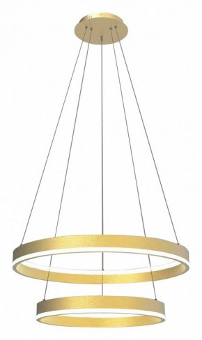 Подвесной светильник Lightstar Rotonda 736422 в Коротчаево - korotchaevo.mebel24.online | фото 2