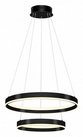 Подвесной светильник Lightstar Rotonda 736427 в Коротчаево - korotchaevo.mebel24.online | фото 2