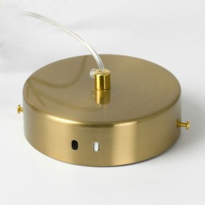 Подвесной светильник Lussole Bradford LSP-7153 в Коротчаево - korotchaevo.mebel24.online | фото 7