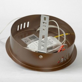 Подвесной светильник Lussole Dade LSP-7250 в Коротчаево - korotchaevo.mebel24.online | фото 6