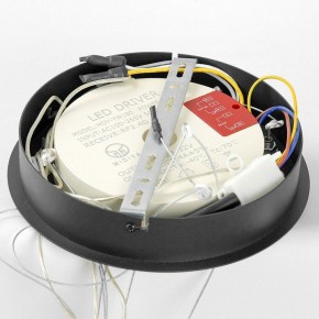 Подвесной светильник Lussole Hale LSP-7380 в Коротчаево - korotchaevo.mebel24.online | фото 6