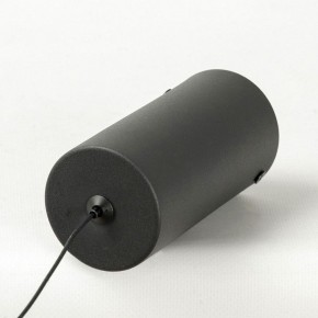 Подвесной светильник Lussole Howard LSP-7349 в Коротчаево - korotchaevo.mebel24.online | фото 8