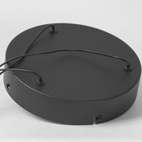 Подвесной светильник Lussole Macon LSP-7310 в Коротчаево - korotchaevo.mebel24.online | фото 6