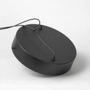 Подвесной светильник Lussole Mitchell LSP-7308 в Коротчаево - korotchaevo.mebel24.online | фото 5