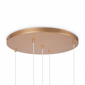 Подвесной светильник Maytoni Basic form MOD521PL-05G в Коротчаево - korotchaevo.mebel24.online | фото 6