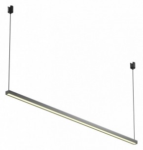 Подвесной светильник Maytoni Basis TR170-1-52W3K-B в Коротчаево - korotchaevo.mebel24.online | фото