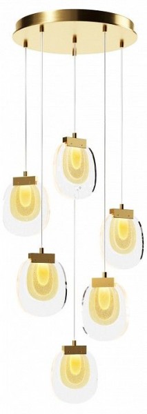 Подвесной светильник Maytoni Biology MOD367PL-L18BBSK в Коротчаево - korotchaevo.mebel24.online | фото