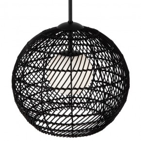 Подвесной светильник Maytoni CANE MOD204PL-01B1 в Коротчаево - korotchaevo.mebel24.online | фото 2