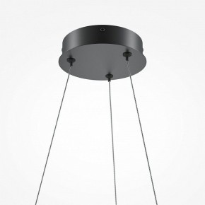 Подвесной светильник Maytoni Curve MOD241PL-L60BK в Коротчаево - korotchaevo.mebel24.online | фото 6