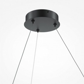 Подвесной светильник Maytoni Curve MOD242PL-L33BK в Коротчаево - korotchaevo.mebel24.online | фото 5
