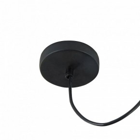 Подвесной светильник Maytoni Gosford T452-PL-01-GR в Коротчаево - korotchaevo.mebel24.online | фото 11
