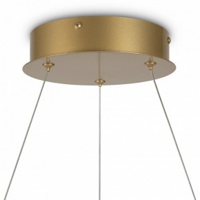 Подвесной светильник Maytoni Halo MOD100PL-L47BSK1 в Коротчаево - korotchaevo.mebel24.online | фото 6