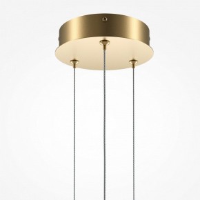 Подвесной светильник Maytoni Halo MOD247PL-L49BSK в Коротчаево - korotchaevo.mebel24.online | фото 6