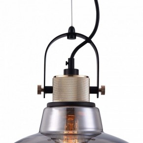 Подвесной светильник Maytoni Irving T163PL-01C в Коротчаево - korotchaevo.mebel24.online | фото 9