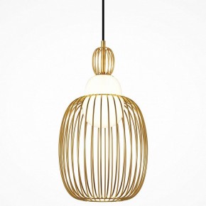 Подвесной светильник Maytoni Levitation MOD376PL-01G1 в Коротчаево - korotchaevo.mebel24.online | фото
