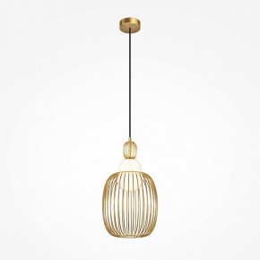 Подвесной светильник Maytoni Levitation MOD376PL-01G1 в Коротчаево - korotchaevo.mebel24.online | фото 2
