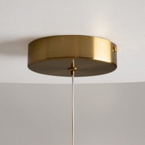 Подвесной светильник Maytoni Loop MOD290PL-L23BS3K в Коротчаево - korotchaevo.mebel24.online | фото 9
