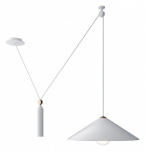 Подвесной светильник Maytoni Peso P080PL-01W в Коротчаево - korotchaevo.mebel24.online | фото 2