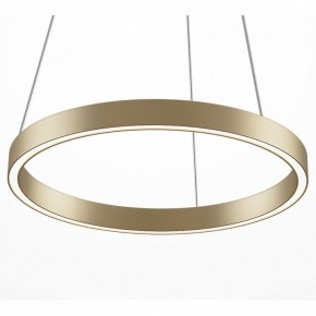 Подвесной светильник Maytoni Rim MOD058PL-L22BSK в Коротчаево - korotchaevo.mebel24.online | фото