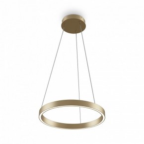 Подвесной светильник Maytoni Rim MOD058PL-L22BSK в Коротчаево - korotchaevo.mebel24.online | фото 2