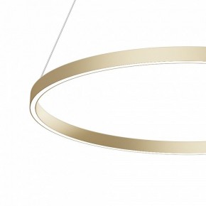 Подвесной светильник Maytoni Rim MOD058PL-L42BSK в Коротчаево - korotchaevo.mebel24.online | фото 4