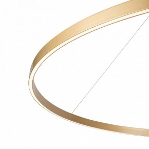Подвесной светильник Maytoni Rim MOD058PL-L65BSK в Коротчаево - korotchaevo.mebel24.online | фото 5