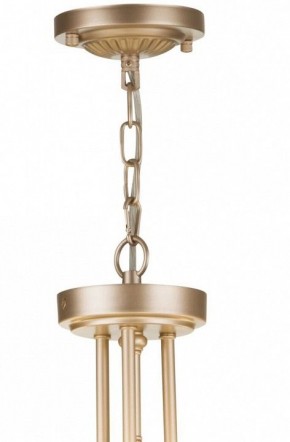 Подвесной светильник Maytoni Roma ARM006PL-06G в Коротчаево - korotchaevo.mebel24.online | фото 5