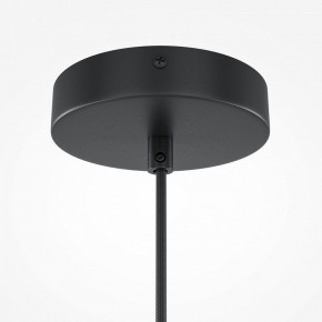 Подвесной светильник Maytoni Roots MOD194PL-01W1 в Коротчаево - korotchaevo.mebel24.online | фото 5