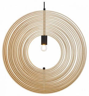 Подвесной светильник Maytoni Roots MOD197PL-01W2 в Коротчаево - korotchaevo.mebel24.online | фото 2