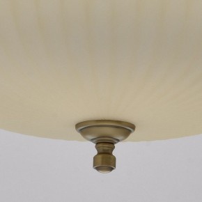 Подвесной светильник MW-Light Афродита 1 317010504 в Коротчаево - korotchaevo.mebel24.online | фото 9
