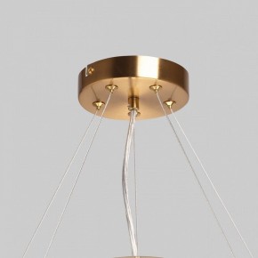 Подвесной светильник MW-Light Илоника 10 451013006 в Коротчаево - korotchaevo.mebel24.online | фото 10
