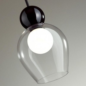 Подвесной светильник Odeon Light Blacky 2 5023/1 в Коротчаево - korotchaevo.mebel24.online | фото 6