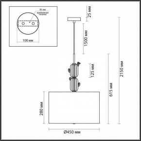 Подвесной светильник Odeon Light Cactus 5425/3 в Коротчаево - korotchaevo.mebel24.online | фото 6