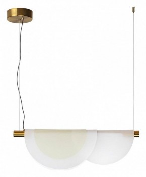 Подвесной светильник Odeon Light Colle 4358/20L в Коротчаево - korotchaevo.mebel24.online | фото 3