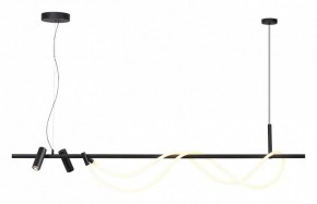 Подвесной светильник Odeon Light Corda 4391/40L в Коротчаево - korotchaevo.mebel24.online | фото 2