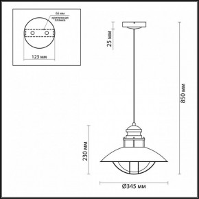 Подвесной светильник Odeon Light Dante 4164/1 в Коротчаево - korotchaevo.mebel24.online | фото 3