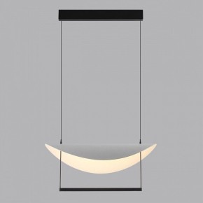 Подвесной светильник Odeon Light Next 7015/20L в Коротчаево - korotchaevo.mebel24.online | фото 4