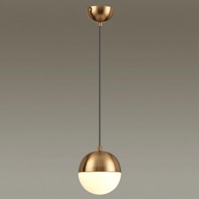 Подвесной светильник Odeon Light Pinga 4960/1 в Коротчаево - korotchaevo.mebel24.online | фото 2