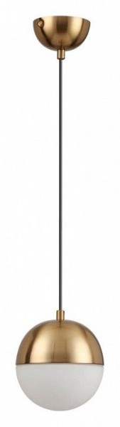Подвесной светильник Odeon Light Pinga 4960/1 в Коротчаево - korotchaevo.mebel24.online | фото 3