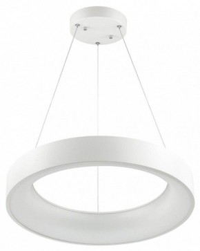 Подвесной светильник Odeon Light Sole 4066/50L в Коротчаево - korotchaevo.mebel24.online | фото 2