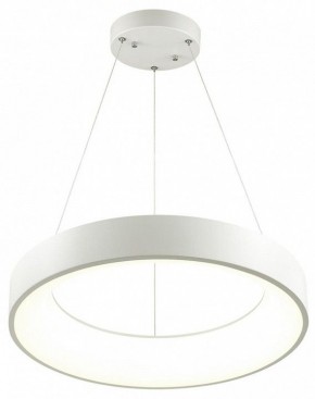 Подвесной светильник Odeon Light Sole 4066/50L в Коротчаево - korotchaevo.mebel24.online | фото 3